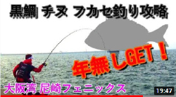 黒鯛【フカセ釣り攻略】